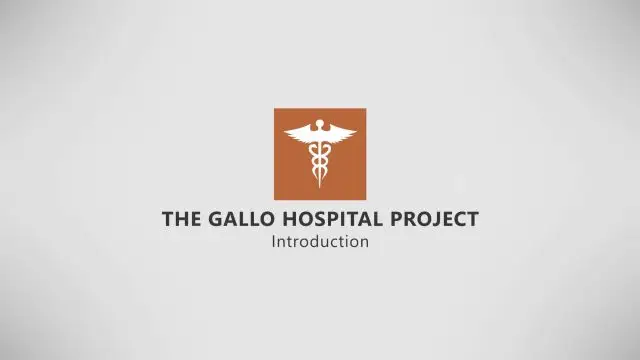 The Gallo Hospital Project - Intro (V27)