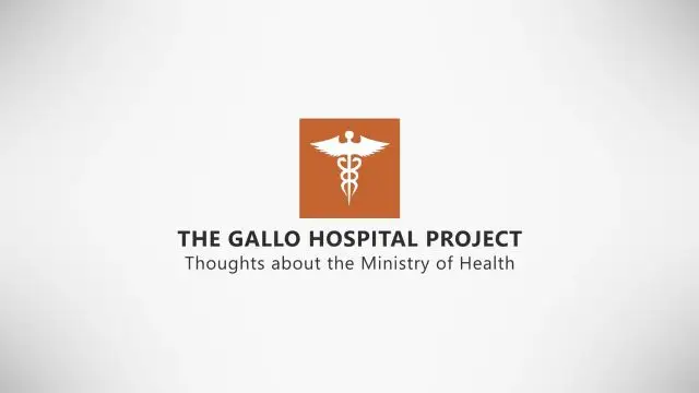 The Gallo Hospital Project - Comments Outside the Ministry of Health