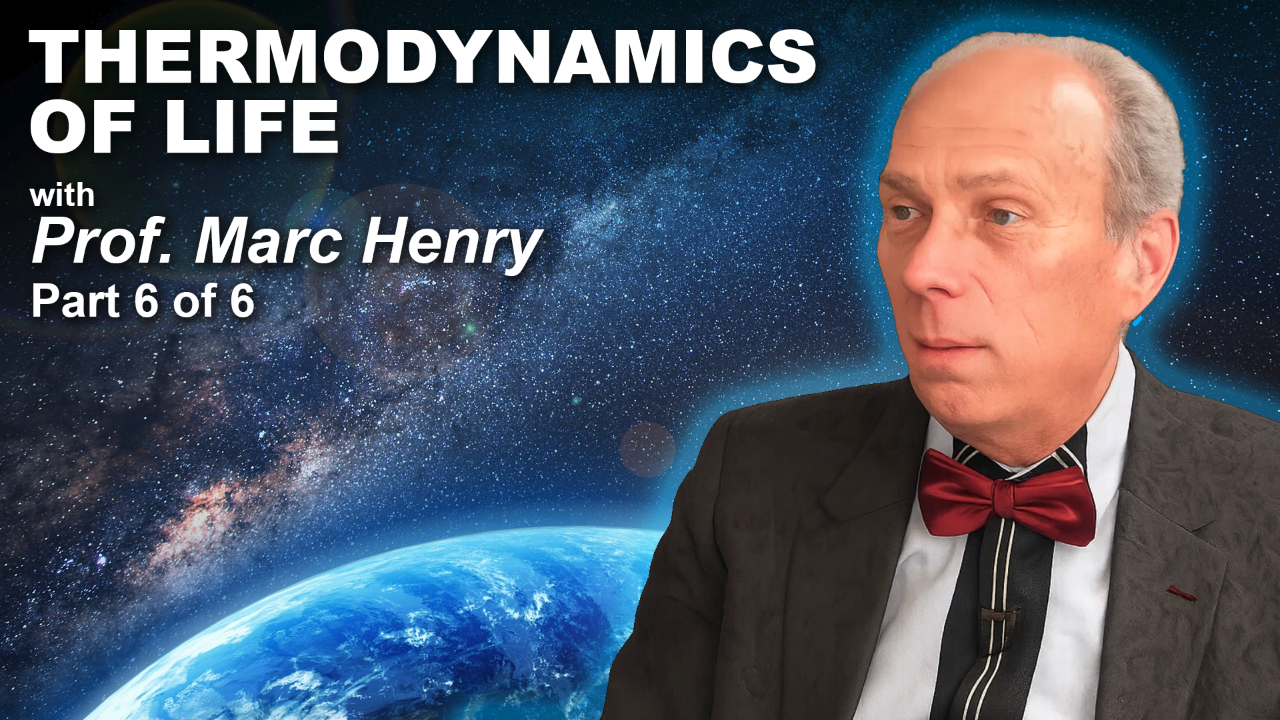 Prof. Marc Henry – Thermodynamics of Life (Part 6 of 6)