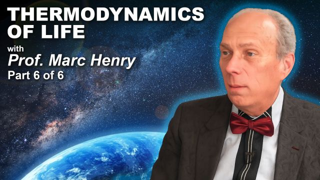 Prof. Marc Henry – Thermodynamics of Life (Part 6 of 6)