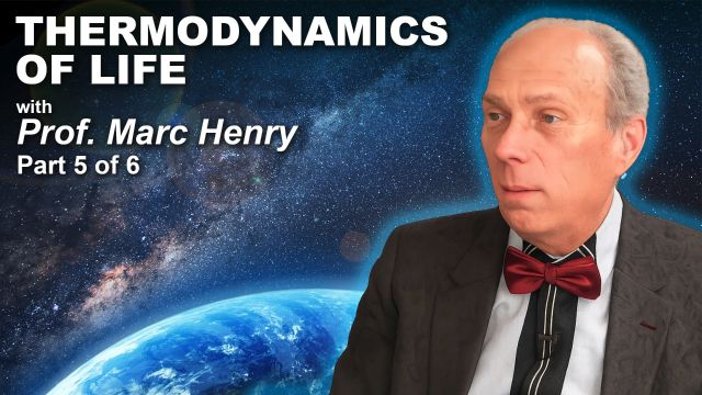 Prof. Marc Henry – Thermodynamics of Life (Part 5 of 6)